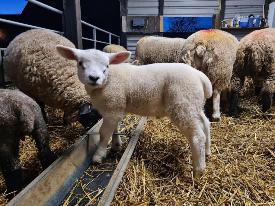 فيلا بوسطنفي The Hay Barn المظهر الخارجي الصورة