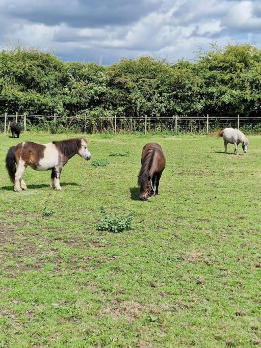 فيلا بوسطنفي The Hay Barn المظهر الخارجي الصورة